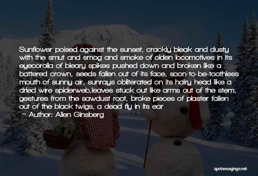 Allen Ginsberg Quotes: Sunflower Poised Against The Sunset, Crackly Bleak And Dusty With The Smut And Smog And Smoke Of Olden Locomotives In