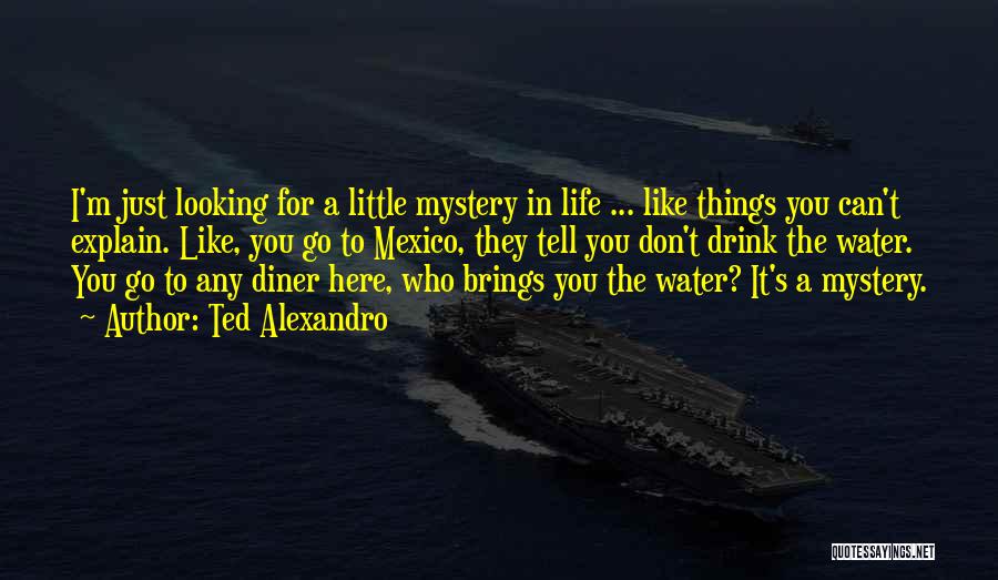 Ted Alexandro Quotes: I'm Just Looking For A Little Mystery In Life ... Like Things You Can't Explain. Like, You Go To Mexico,