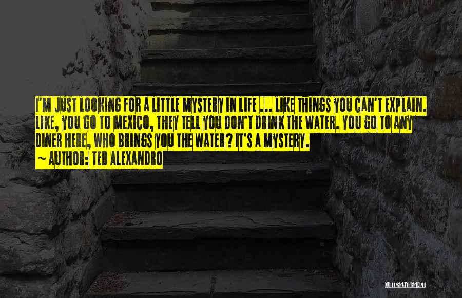 Ted Alexandro Quotes: I'm Just Looking For A Little Mystery In Life ... Like Things You Can't Explain. Like, You Go To Mexico,