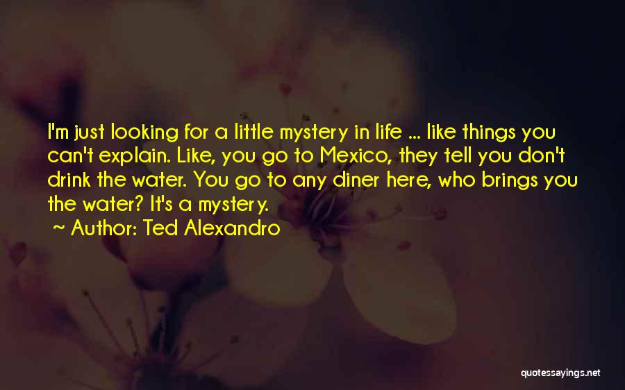 Ted Alexandro Quotes: I'm Just Looking For A Little Mystery In Life ... Like Things You Can't Explain. Like, You Go To Mexico,