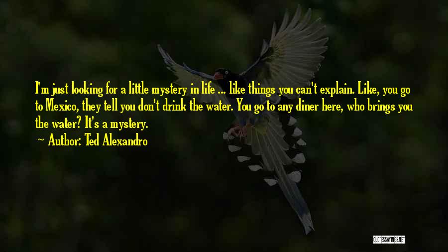 Ted Alexandro Quotes: I'm Just Looking For A Little Mystery In Life ... Like Things You Can't Explain. Like, You Go To Mexico,