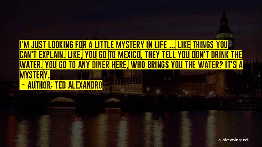 Ted Alexandro Quotes: I'm Just Looking For A Little Mystery In Life ... Like Things You Can't Explain. Like, You Go To Mexico,
