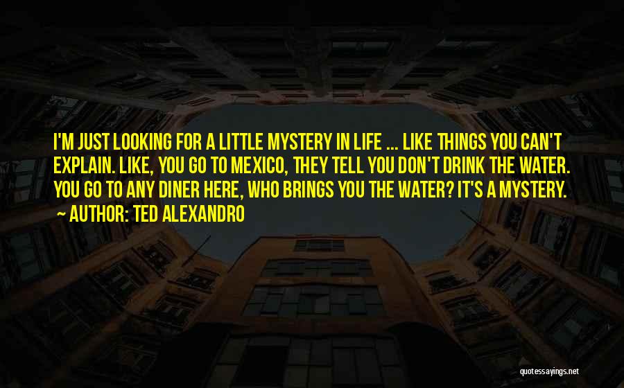 Ted Alexandro Quotes: I'm Just Looking For A Little Mystery In Life ... Like Things You Can't Explain. Like, You Go To Mexico,