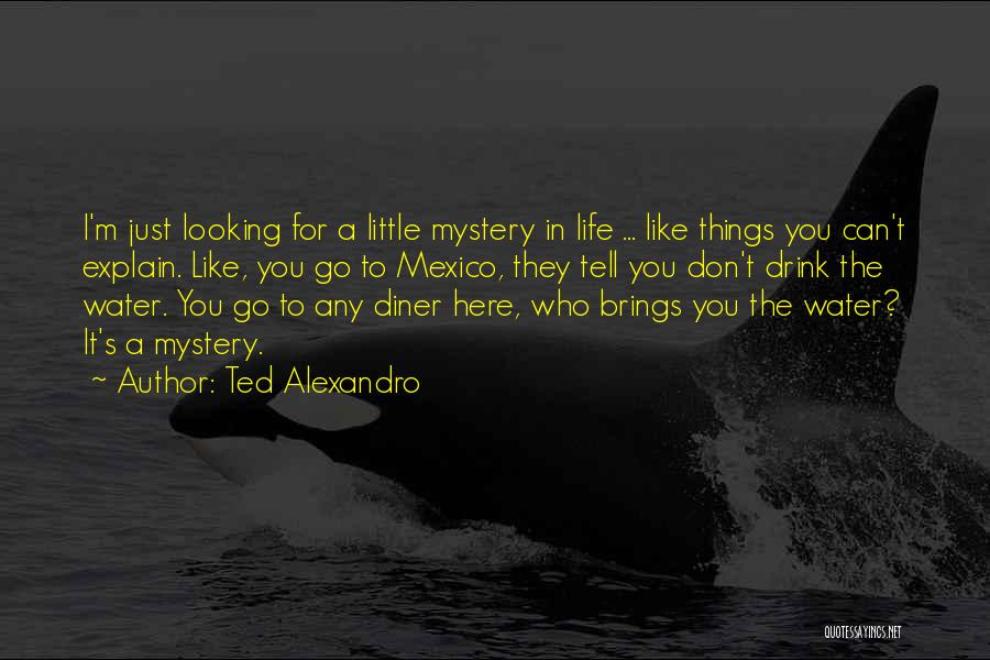 Ted Alexandro Quotes: I'm Just Looking For A Little Mystery In Life ... Like Things You Can't Explain. Like, You Go To Mexico,