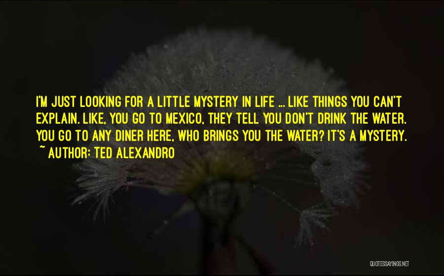 Ted Alexandro Quotes: I'm Just Looking For A Little Mystery In Life ... Like Things You Can't Explain. Like, You Go To Mexico,