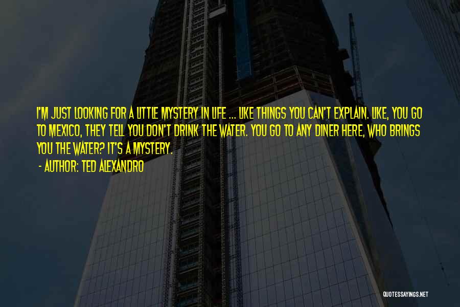 Ted Alexandro Quotes: I'm Just Looking For A Little Mystery In Life ... Like Things You Can't Explain. Like, You Go To Mexico,