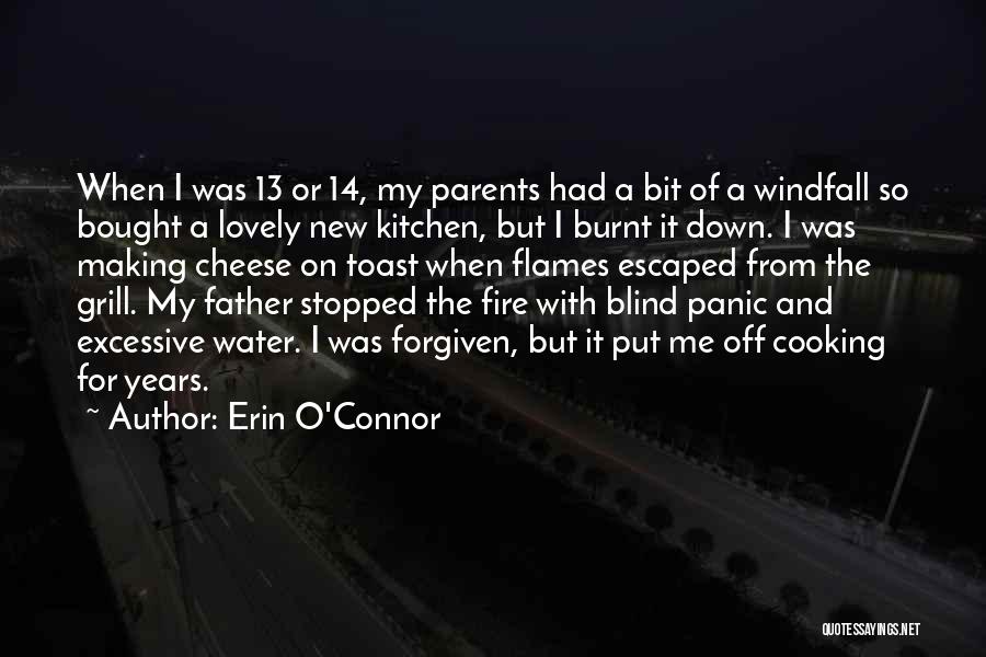 Erin O'Connor Quotes: When I Was 13 Or 14, My Parents Had A Bit Of A Windfall So Bought A Lovely New Kitchen,