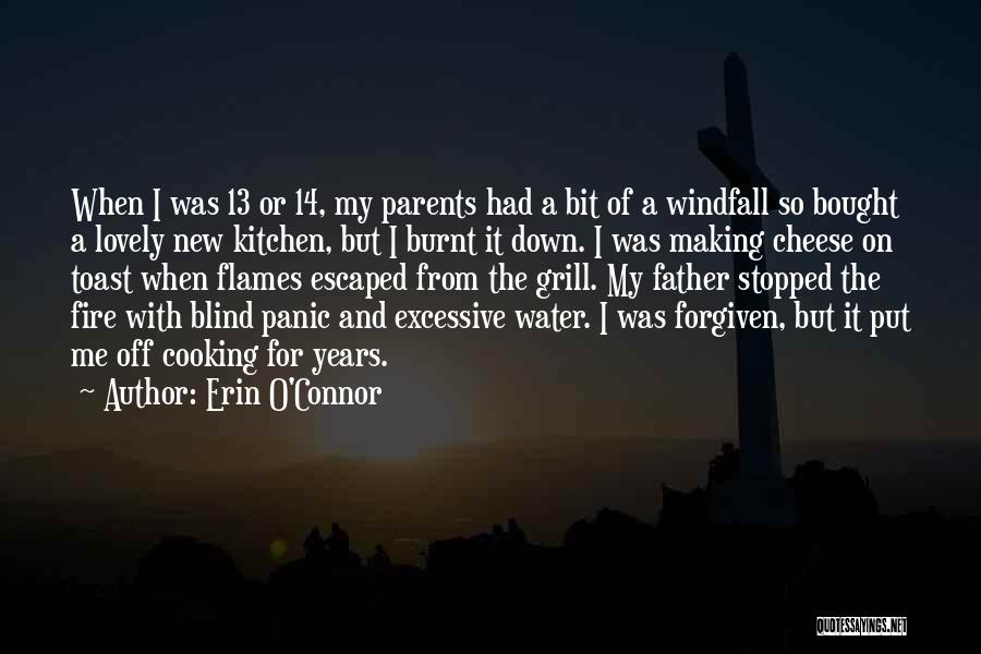 Erin O'Connor Quotes: When I Was 13 Or 14, My Parents Had A Bit Of A Windfall So Bought A Lovely New Kitchen,