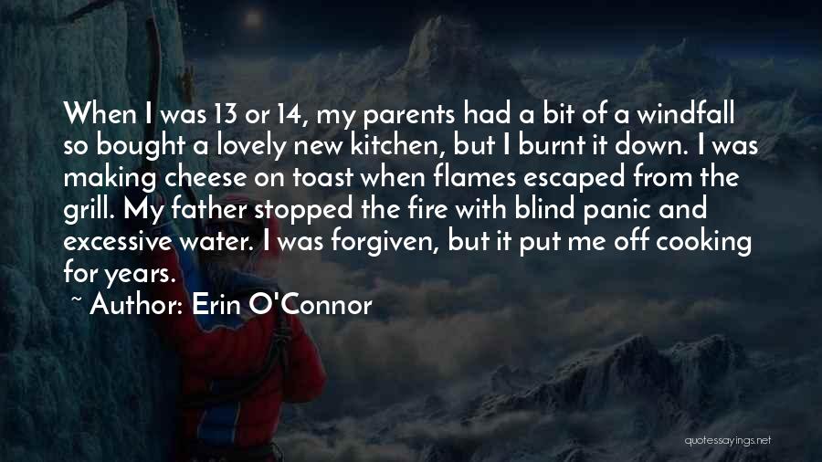 Erin O'Connor Quotes: When I Was 13 Or 14, My Parents Had A Bit Of A Windfall So Bought A Lovely New Kitchen,
