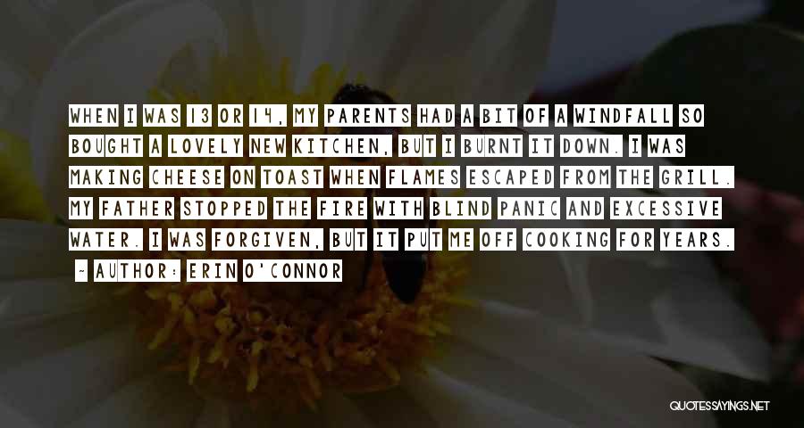 Erin O'Connor Quotes: When I Was 13 Or 14, My Parents Had A Bit Of A Windfall So Bought A Lovely New Kitchen,