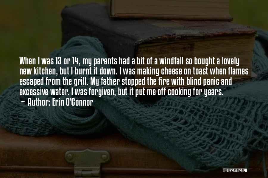 Erin O'Connor Quotes: When I Was 13 Or 14, My Parents Had A Bit Of A Windfall So Bought A Lovely New Kitchen,