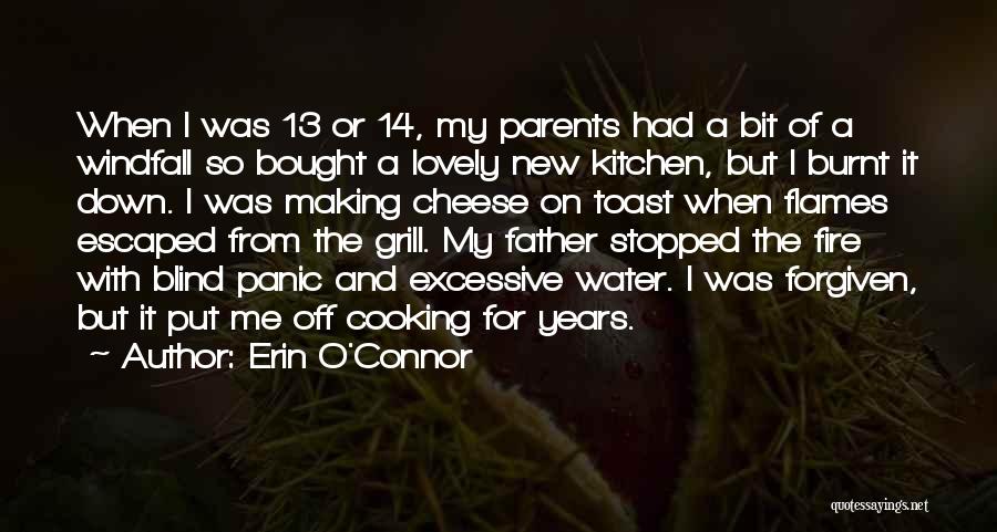 Erin O'Connor Quotes: When I Was 13 Or 14, My Parents Had A Bit Of A Windfall So Bought A Lovely New Kitchen,