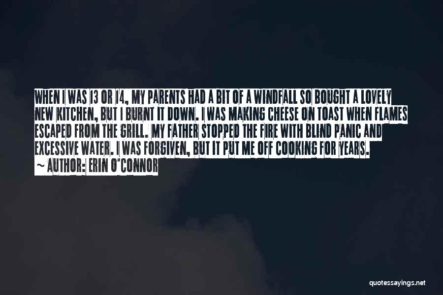 Erin O'Connor Quotes: When I Was 13 Or 14, My Parents Had A Bit Of A Windfall So Bought A Lovely New Kitchen,