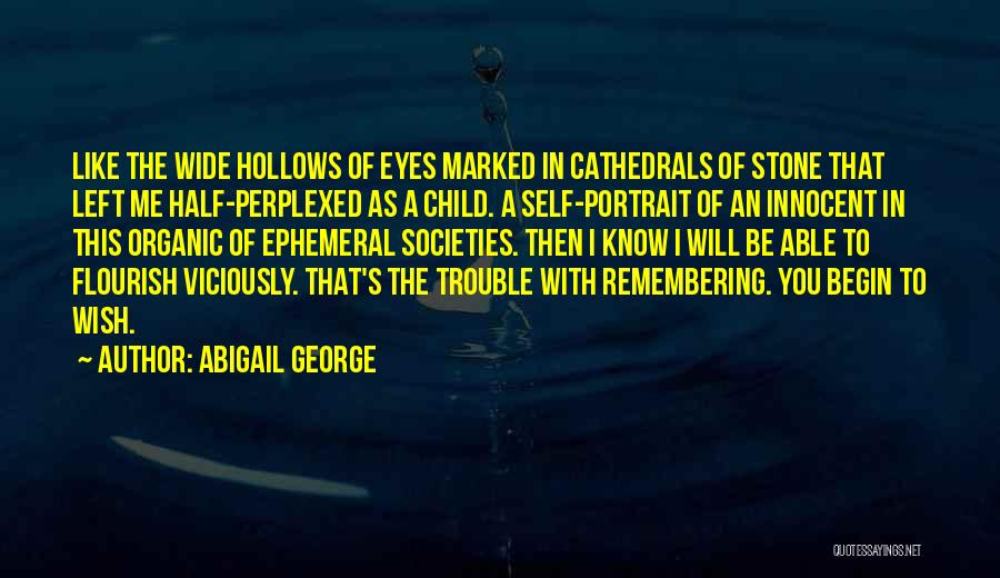 Abigail George Quotes: Like The Wide Hollows Of Eyes Marked In Cathedrals Of Stone That Left Me Half-perplexed As A Child. A Self-portrait