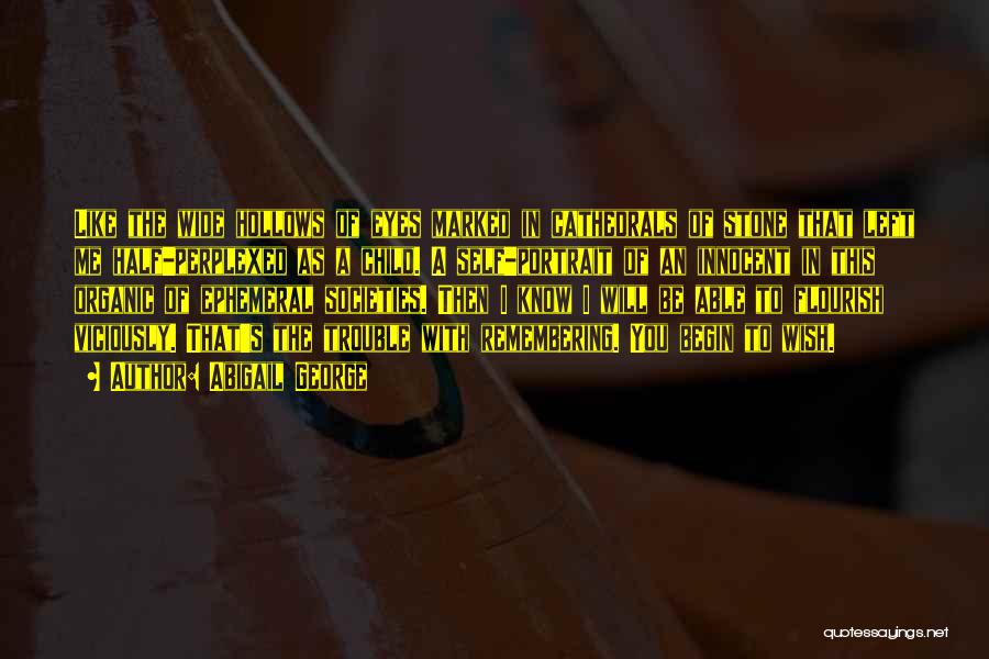 Abigail George Quotes: Like The Wide Hollows Of Eyes Marked In Cathedrals Of Stone That Left Me Half-perplexed As A Child. A Self-portrait