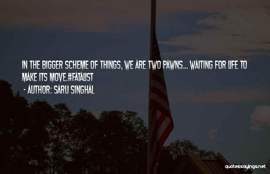 Saru Singhal Quotes: In The Bigger Scheme Of Things, We Are Two Pawns... Waiting For Life To Make Its Move.#fatalist