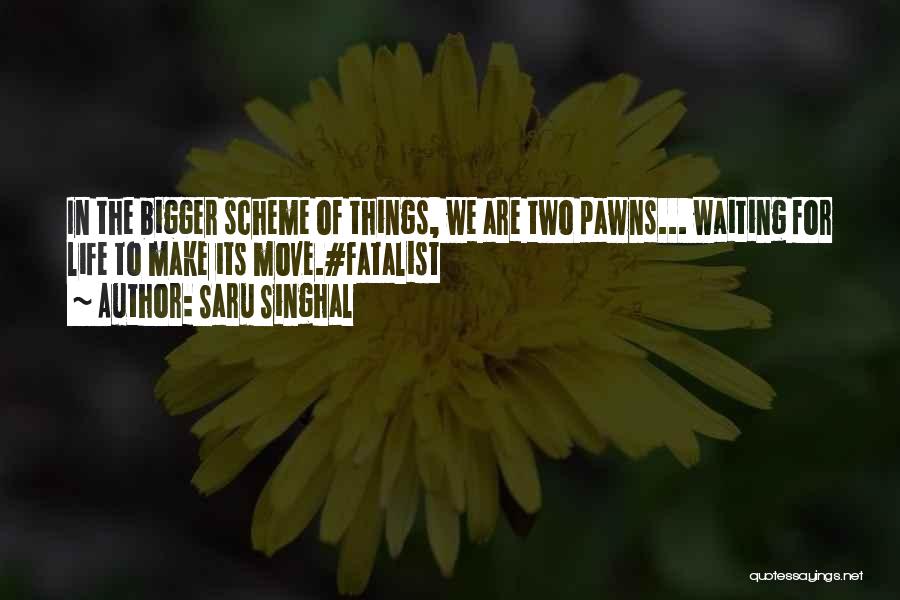 Saru Singhal Quotes: In The Bigger Scheme Of Things, We Are Two Pawns... Waiting For Life To Make Its Move.#fatalist