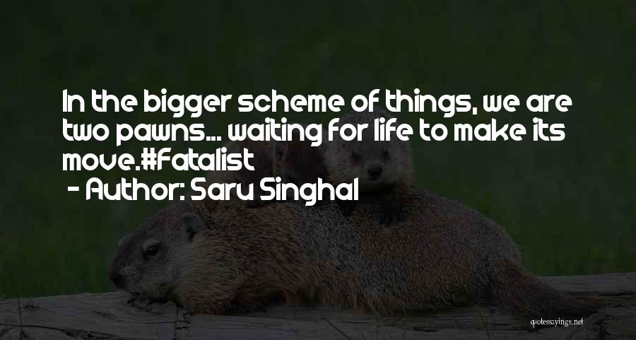 Saru Singhal Quotes: In The Bigger Scheme Of Things, We Are Two Pawns... Waiting For Life To Make Its Move.#fatalist