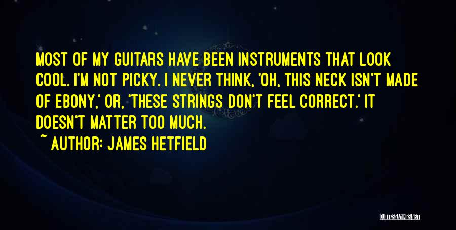 James Hetfield Quotes: Most Of My Guitars Have Been Instruments That Look Cool. I'm Not Picky. I Never Think, 'oh, This Neck Isn't