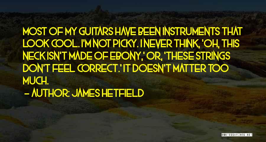 James Hetfield Quotes: Most Of My Guitars Have Been Instruments That Look Cool. I'm Not Picky. I Never Think, 'oh, This Neck Isn't