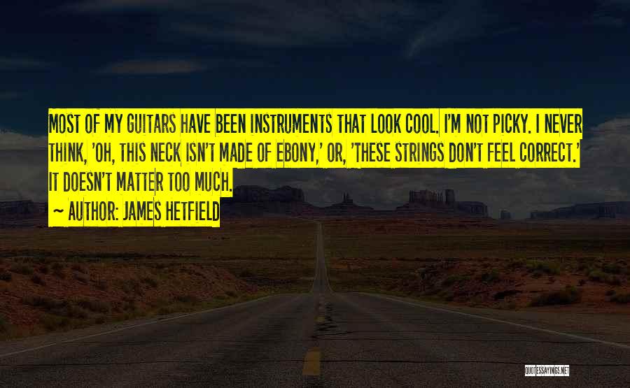 James Hetfield Quotes: Most Of My Guitars Have Been Instruments That Look Cool. I'm Not Picky. I Never Think, 'oh, This Neck Isn't