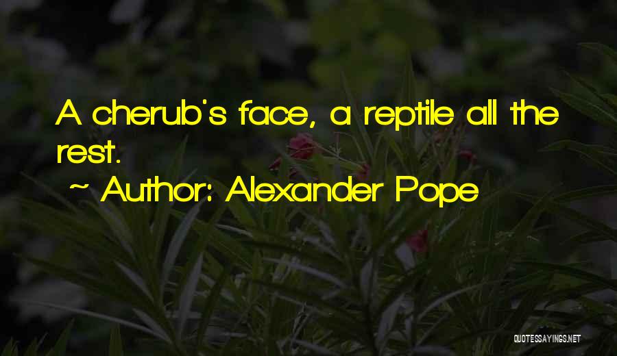 Alexander Pope Quotes: A Cherub's Face, A Reptile All The Rest.