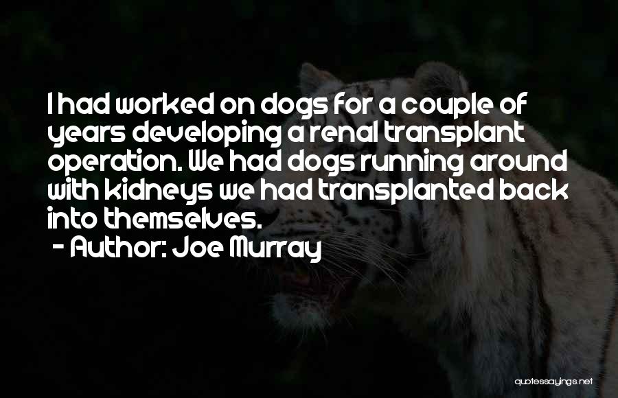 Joe Murray Quotes: I Had Worked On Dogs For A Couple Of Years Developing A Renal Transplant Operation. We Had Dogs Running Around