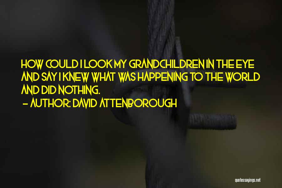 David Attenborough Quotes: How Could I Look My Grandchildren In The Eye And Say I Knew What Was Happening To The World And