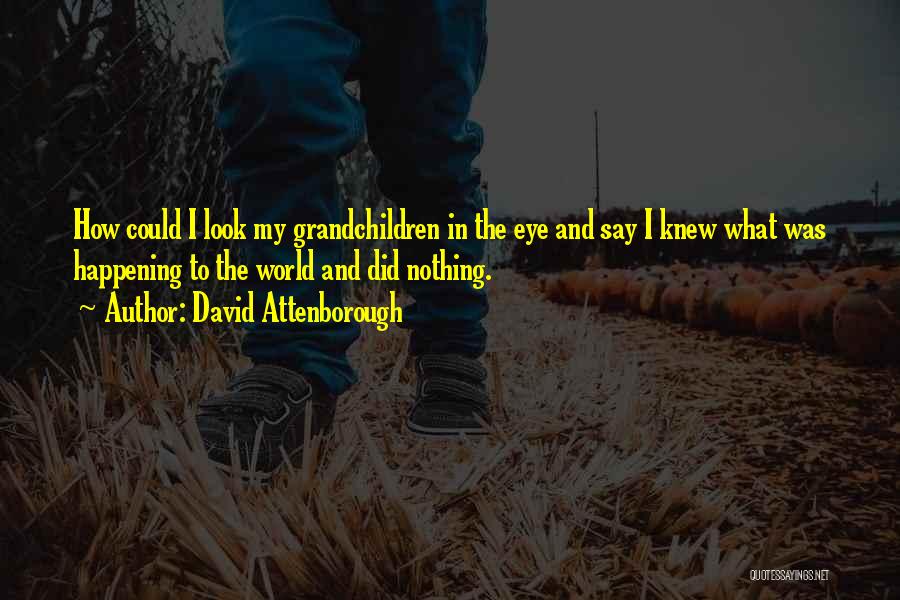 David Attenborough Quotes: How Could I Look My Grandchildren In The Eye And Say I Knew What Was Happening To The World And