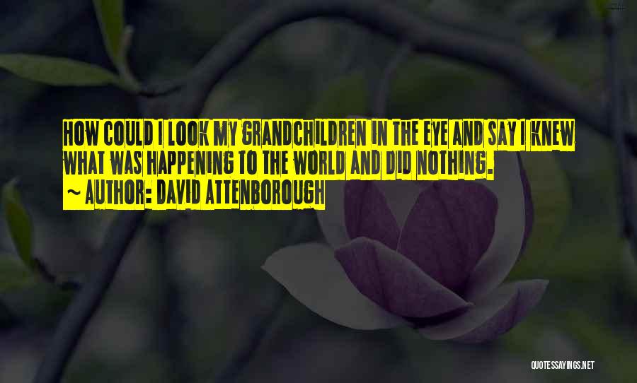 David Attenborough Quotes: How Could I Look My Grandchildren In The Eye And Say I Knew What Was Happening To The World And