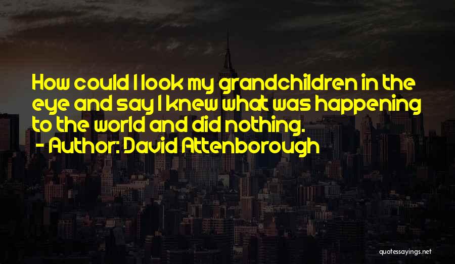 David Attenborough Quotes: How Could I Look My Grandchildren In The Eye And Say I Knew What Was Happening To The World And