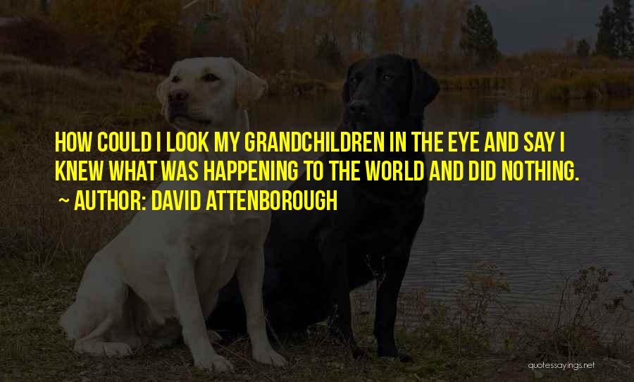 David Attenborough Quotes: How Could I Look My Grandchildren In The Eye And Say I Knew What Was Happening To The World And