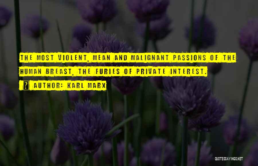 Karl Marx Quotes: The Most Violent, Mean And Malignant Passions Of The Human Breast, The Furies Of Private Interest.
