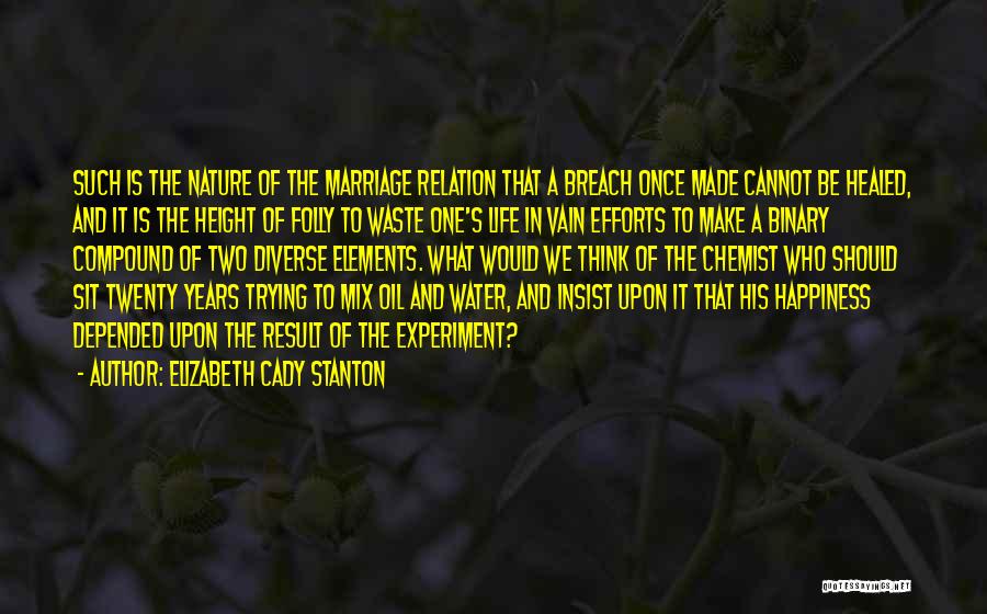 Elizabeth Cady Stanton Quotes: Such Is The Nature Of The Marriage Relation That A Breach Once Made Cannot Be Healed, And It Is The