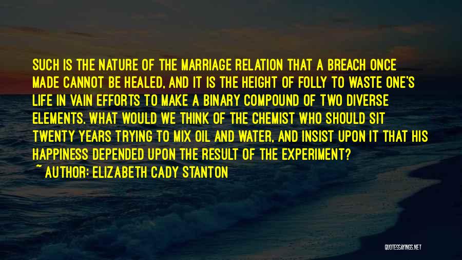 Elizabeth Cady Stanton Quotes: Such Is The Nature Of The Marriage Relation That A Breach Once Made Cannot Be Healed, And It Is The