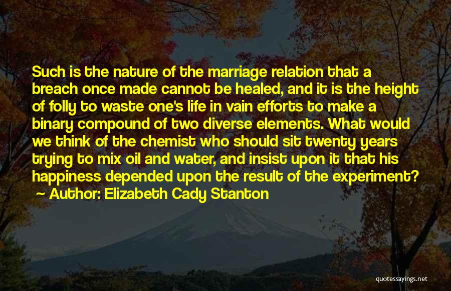 Elizabeth Cady Stanton Quotes: Such Is The Nature Of The Marriage Relation That A Breach Once Made Cannot Be Healed, And It Is The