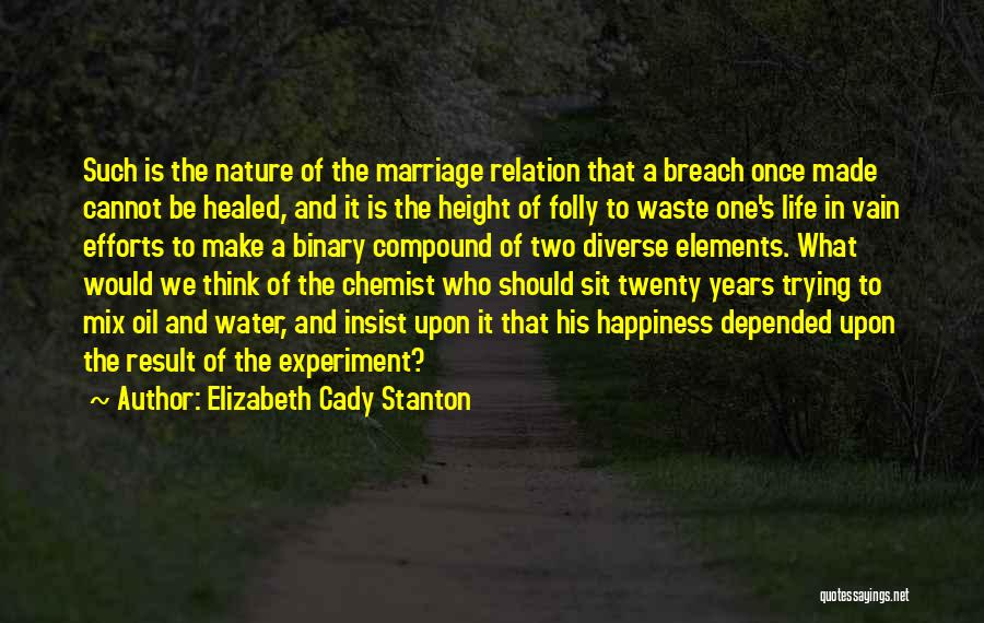 Elizabeth Cady Stanton Quotes: Such Is The Nature Of The Marriage Relation That A Breach Once Made Cannot Be Healed, And It Is The