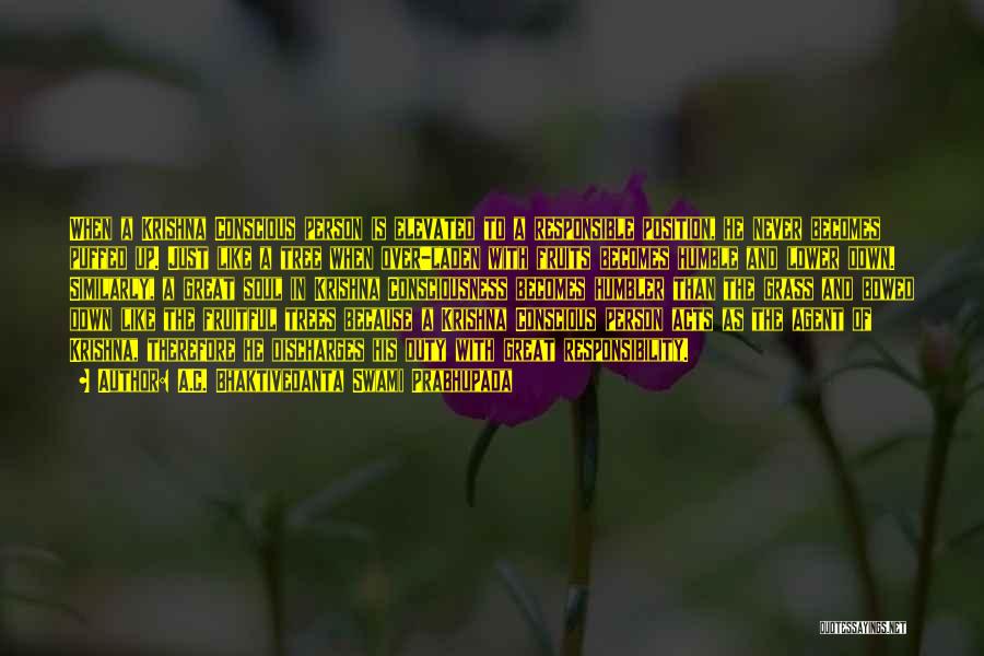 A.C. Bhaktivedanta Swami Prabhupada Quotes: When A Krishna Conscious Person Is Elevated To A Responsible Position, He Never Becomes Puffed Up. Just Like A Tree