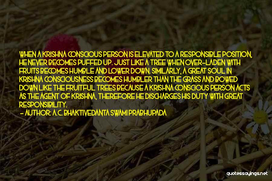 A.C. Bhaktivedanta Swami Prabhupada Quotes: When A Krishna Conscious Person Is Elevated To A Responsible Position, He Never Becomes Puffed Up. Just Like A Tree