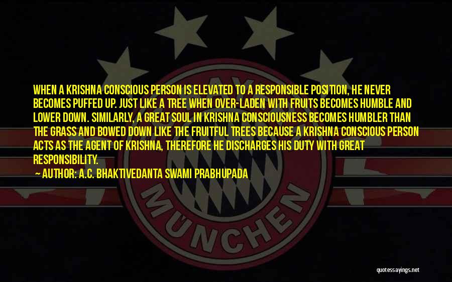 A.C. Bhaktivedanta Swami Prabhupada Quotes: When A Krishna Conscious Person Is Elevated To A Responsible Position, He Never Becomes Puffed Up. Just Like A Tree