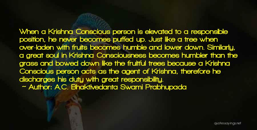 A.C. Bhaktivedanta Swami Prabhupada Quotes: When A Krishna Conscious Person Is Elevated To A Responsible Position, He Never Becomes Puffed Up. Just Like A Tree