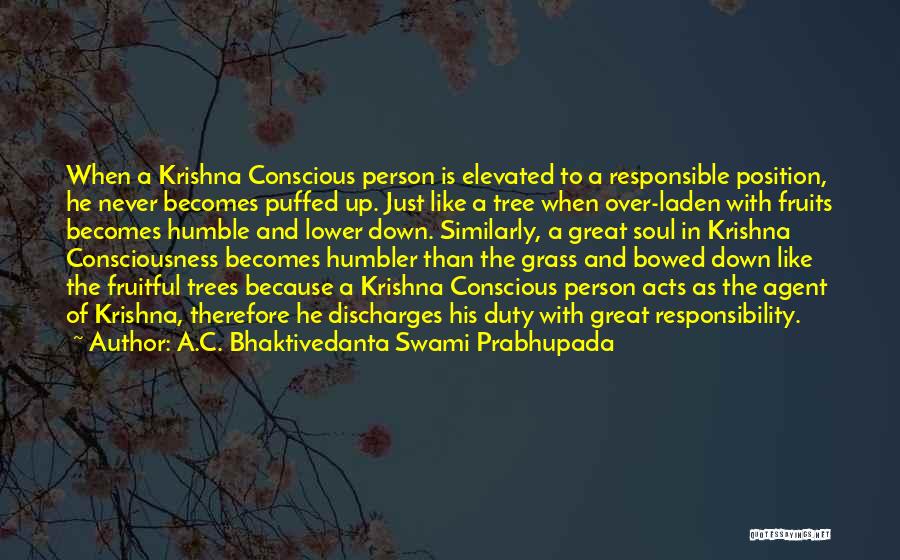 A.C. Bhaktivedanta Swami Prabhupada Quotes: When A Krishna Conscious Person Is Elevated To A Responsible Position, He Never Becomes Puffed Up. Just Like A Tree
