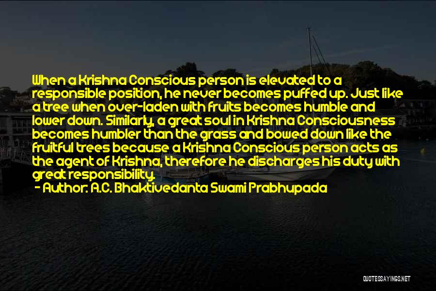 A.C. Bhaktivedanta Swami Prabhupada Quotes: When A Krishna Conscious Person Is Elevated To A Responsible Position, He Never Becomes Puffed Up. Just Like A Tree