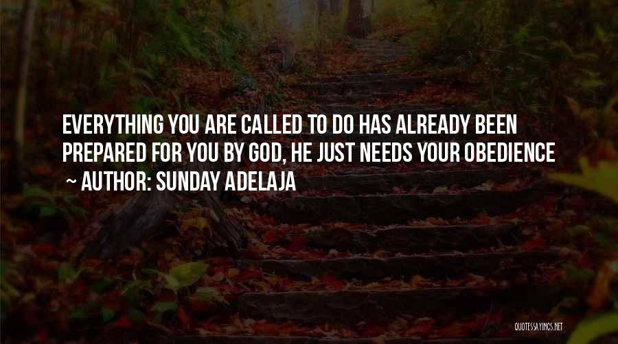 Sunday Adelaja Quotes: Everything You Are Called To Do Has Already Been Prepared For You By God, He Just Needs Your Obedience