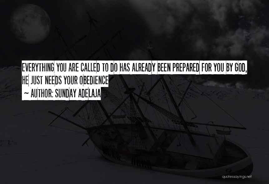 Sunday Adelaja Quotes: Everything You Are Called To Do Has Already Been Prepared For You By God, He Just Needs Your Obedience