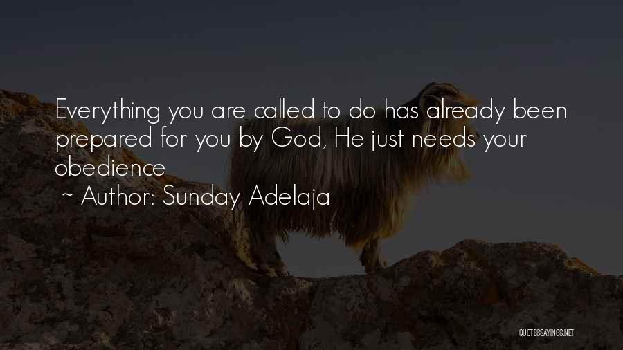 Sunday Adelaja Quotes: Everything You Are Called To Do Has Already Been Prepared For You By God, He Just Needs Your Obedience