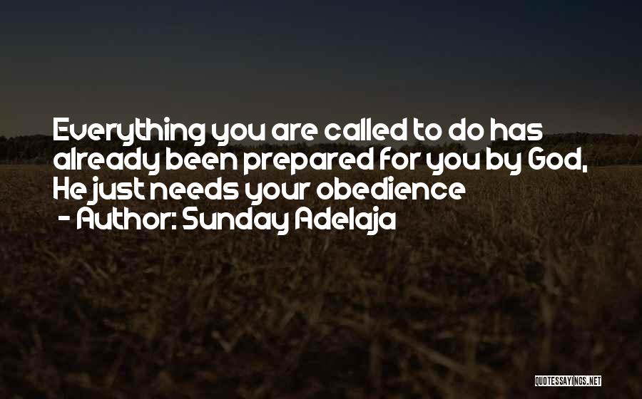 Sunday Adelaja Quotes: Everything You Are Called To Do Has Already Been Prepared For You By God, He Just Needs Your Obedience