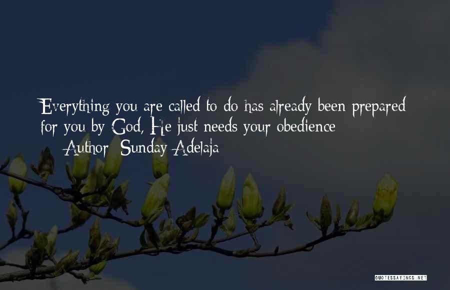 Sunday Adelaja Quotes: Everything You Are Called To Do Has Already Been Prepared For You By God, He Just Needs Your Obedience