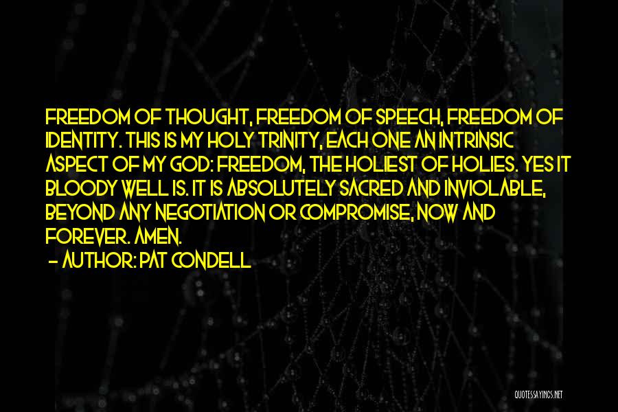 Pat Condell Quotes: Freedom Of Thought, Freedom Of Speech, Freedom Of Identity. This Is My Holy Trinity, Each One An Intrinsic Aspect Of