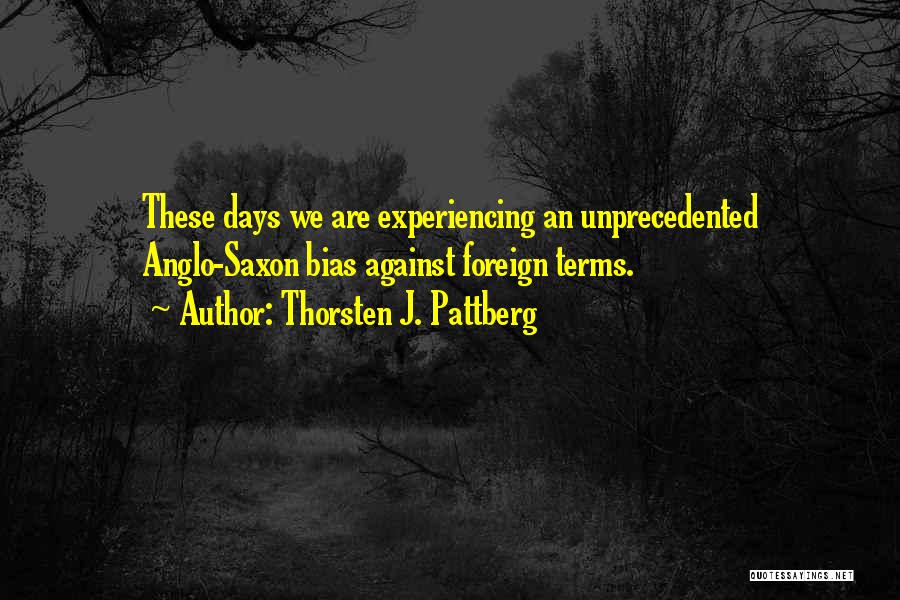 Thorsten J. Pattberg Quotes: These Days We Are Experiencing An Unprecedented Anglo-saxon Bias Against Foreign Terms.